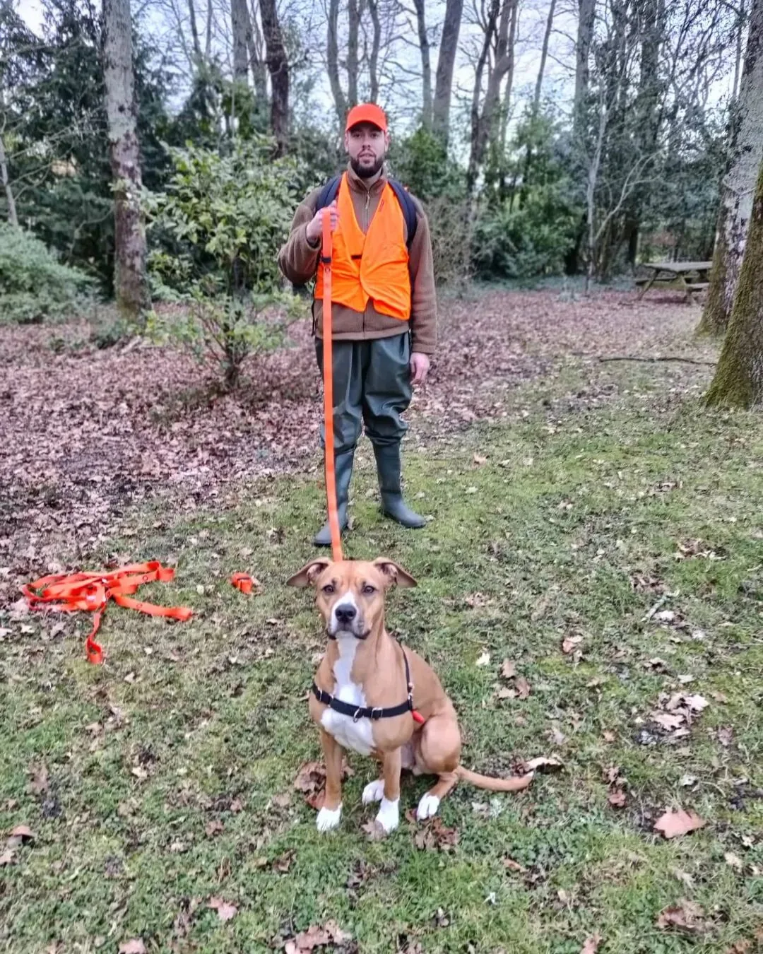 Publication SIM Nature sur la protection de la vie sauvage